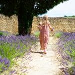 jardin en été