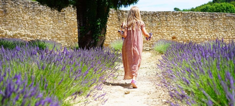 jardin en été