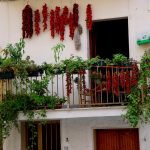 potager de balcon3