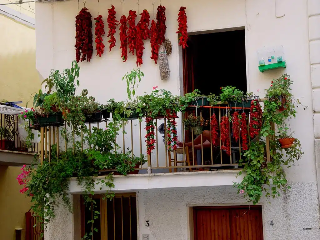 Comment réussir son potager de balcon ?